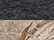 Charcoal Realtree Xtra