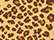 Leopard Triblend